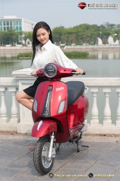 xe máy điện tailg vespas r51