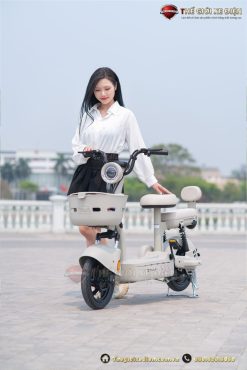 xe đạp điện tailg JY33