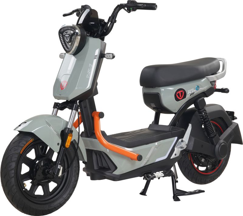 xe đạp điện tailg gx30 xbull