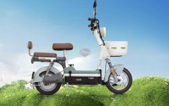 xe đạp điện tailg JY33